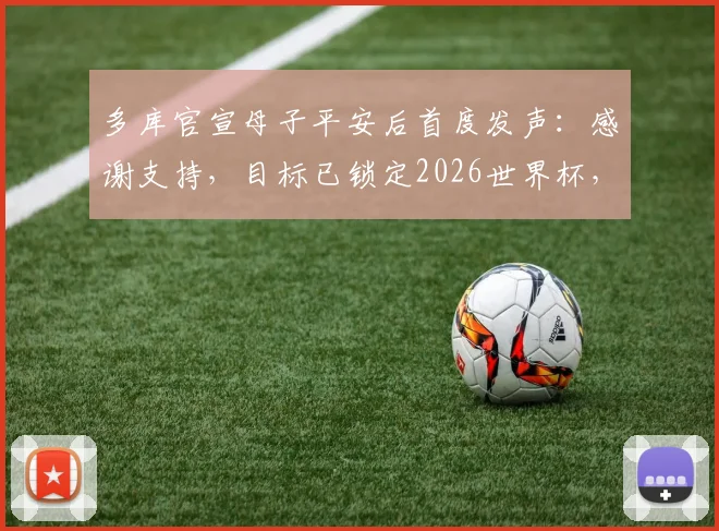 多库官宣母子平安后首度发声:感谢支持,目标已锁定2026世界杯,球迷热议其状态与回归计划